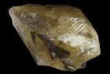 Golden, Beam Calcite Crystal - Morocco #115195-1